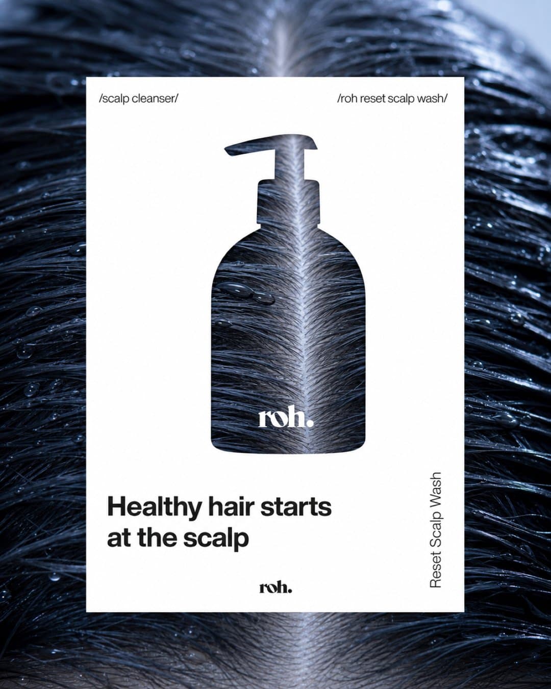 Static ad with a ROH pump bottle silhouette over dark scalp hair, headline Healthy hair starts at the scalp