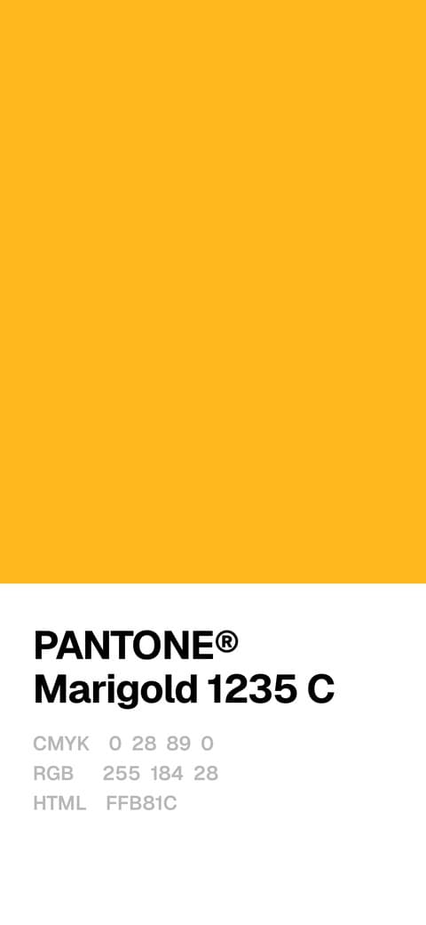 Marigold 1235 C wallpaper, iPhone