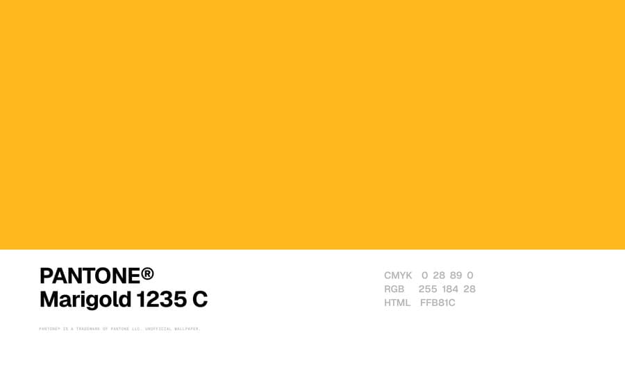 Marigold 1235 C wallpaper, Mac