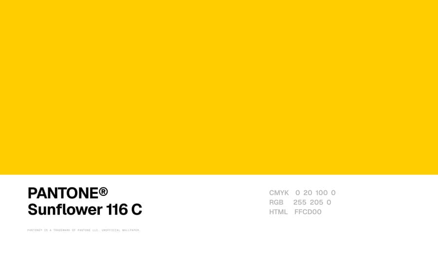 Sunflower 116 C wallpaper, Mac